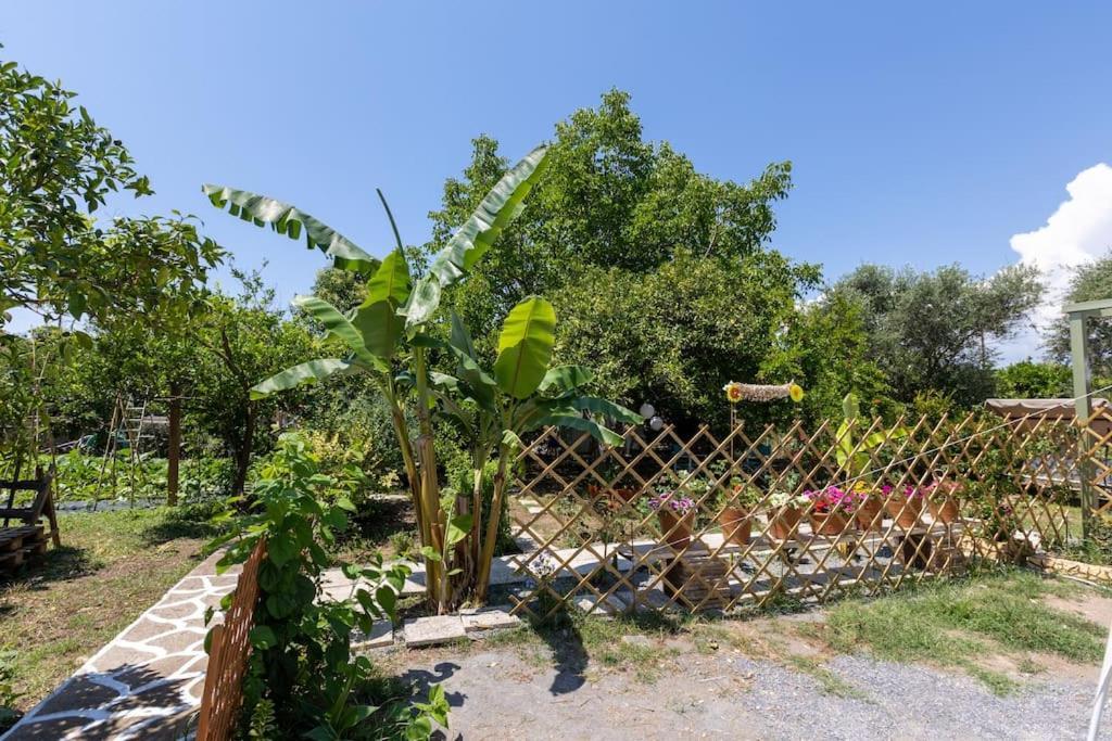 Bougainvillea House With Private Garden Faraí Exterior foto